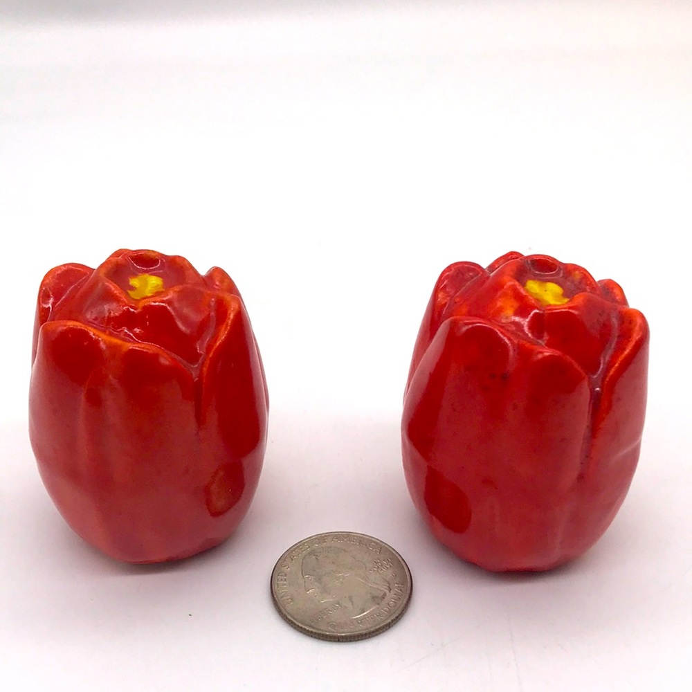 Ceramic Vintage Red Tulip Salt & Pepper Shaker’s